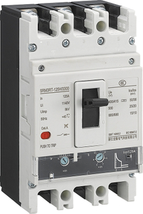 TM einstellbare geformte Fallschalter 80A/100A/125A/160A 3p (3p+n) 0,7-1,0 Zoll